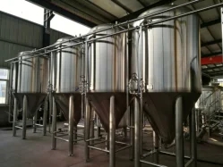 500L 3BBL Beer bright tank unit  tanks in discount cost