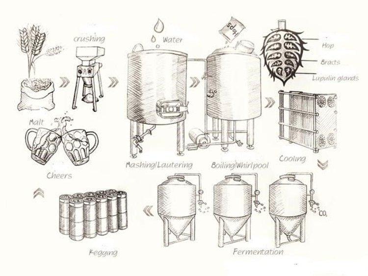 beer brewing-how to brewing beer.jpg