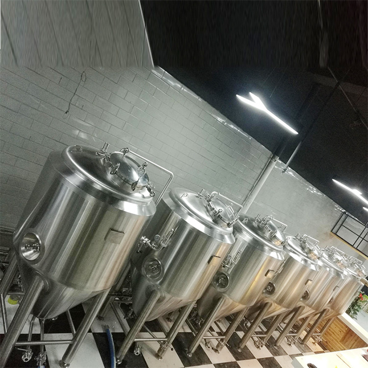 100L beer brewery equipment