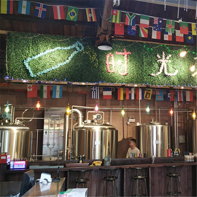 500L craft beer equipment 